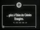 vignette