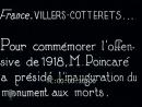 vignette