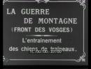 vignette